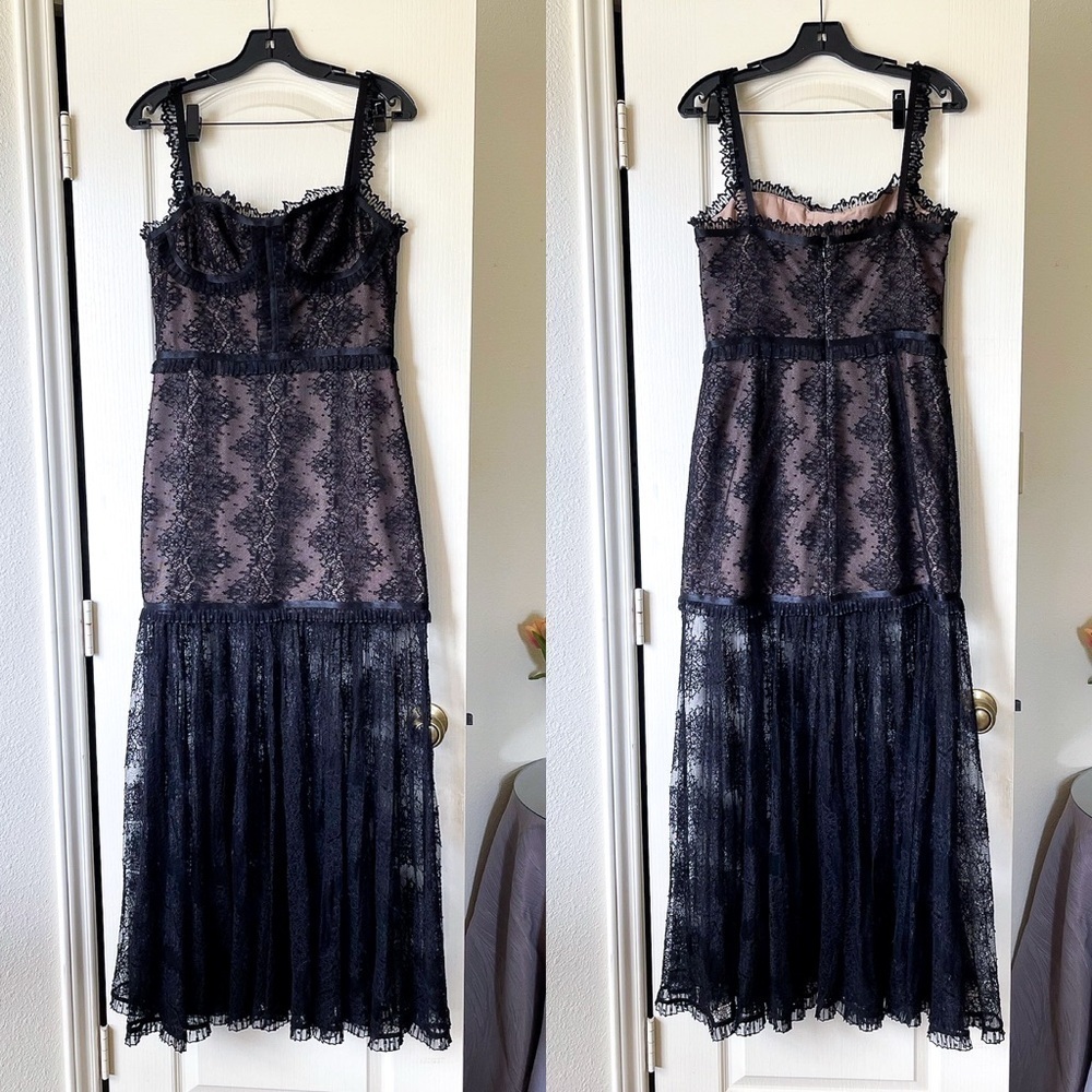 Alexis Kieran Lace Maxi Dress Black Sleeveless Sheer Bustier Gown Size Large EUC - Picture 2 of 7